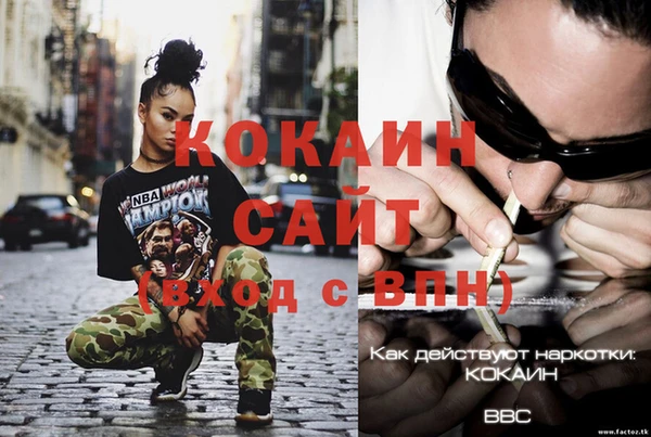 ГАЛЛЮЦИНОГЕННЫЕ ГРИБЫ Дмитриев
