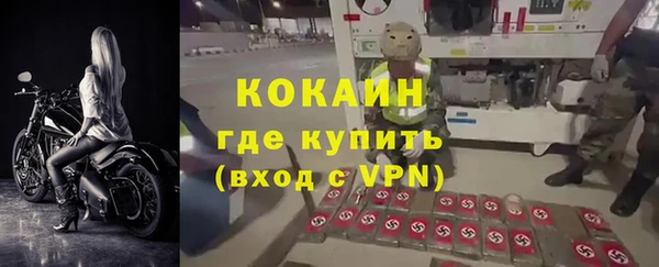 ГАЛЛЮЦИНОГЕННЫЕ ГРИБЫ Дмитриев