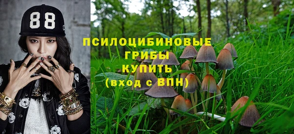 ГАЛЛЮЦИНОГЕННЫЕ ГРИБЫ Дмитриев