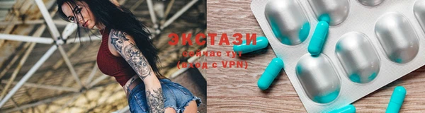 ГАЛЛЮЦИНОГЕННЫЕ ГРИБЫ Дмитриев