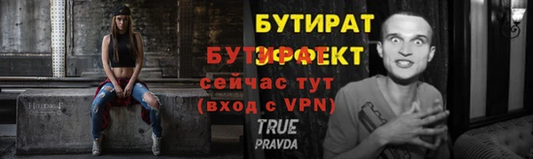 ГАЛЛЮЦИНОГЕННЫЕ ГРИБЫ Дмитриев