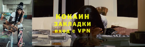 ГАЛЛЮЦИНОГЕННЫЕ ГРИБЫ Дмитриев