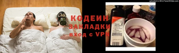 ГАЛЛЮЦИНОГЕННЫЕ ГРИБЫ Дмитриев