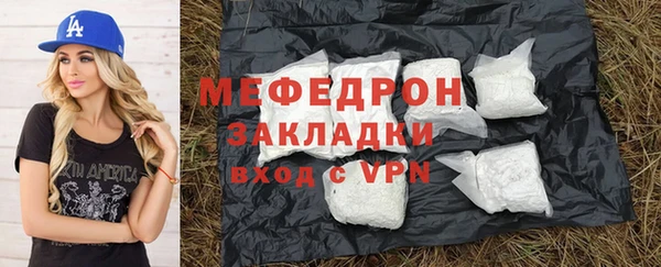 ГАЛЛЮЦИНОГЕННЫЕ ГРИБЫ Дмитриев