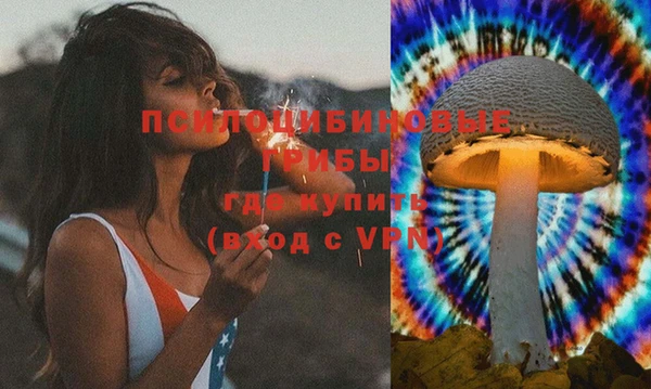 мяу мяу мука Дмитров