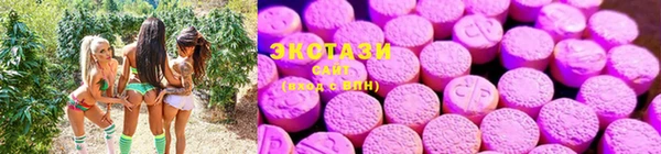 мяу мяу мука Дмитров
