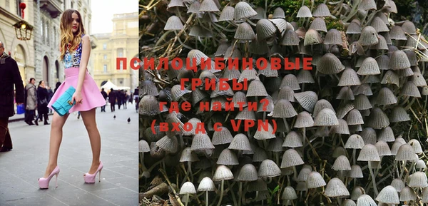 гидра Дмитровск