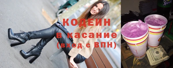 ГАЛЛЮЦИНОГЕННЫЕ ГРИБЫ Дмитриев