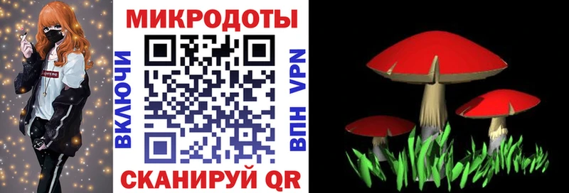 Галлюциногенные грибы Magic Shrooms  Купить где  Нарьян-Мар 